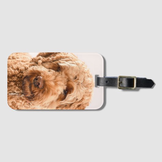 Goldendole Studio Portret Bagagelabel (Voorkant (horizontaal))