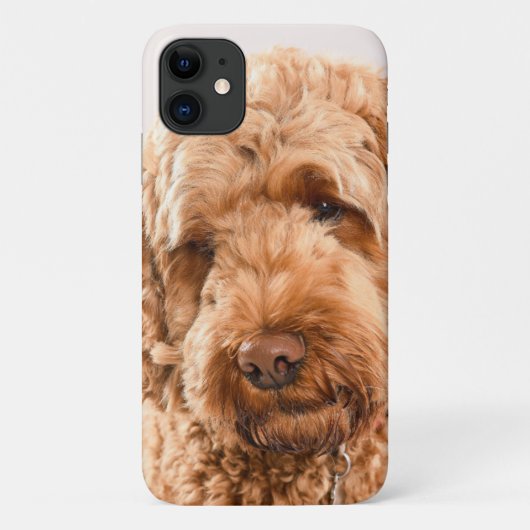 Goldendole Studio Portret Case-Mate iPhone Case (Achterkant)