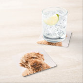 Goldendole Studio Portret Kartonnen Onderzetters (Insitu)