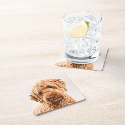 Goldendole Studio Portret Kartonnen Onderzetters (Insitu)