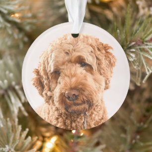 Goldendole Studio Portret Ornament