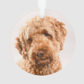 Goldendole Studio Portret Ornament (achterkant)