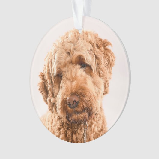 Goldendole Studio Portret Ornament (voorkant)