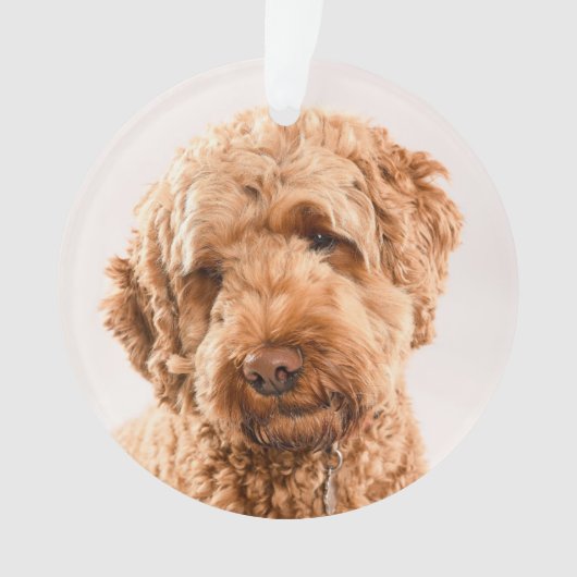 Goldendole Studio Portret Ornament (voorkant)