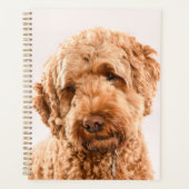 Goldendole Studio Portret Planner (Voorkant)