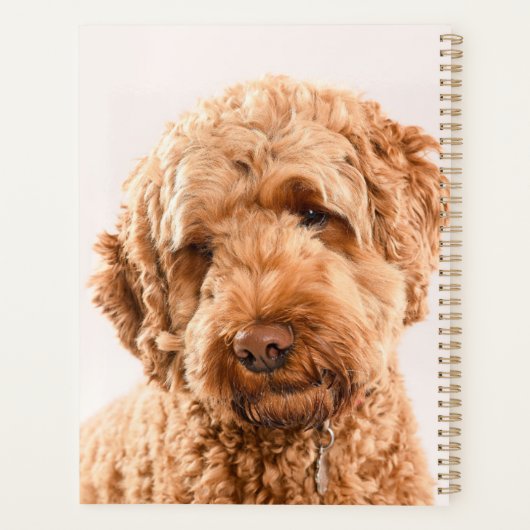 Goldendole Studio Portret Planner (Achterkant)