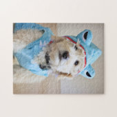 Goldendoodin Shark Costume Legpuzzel (Horizontaal)