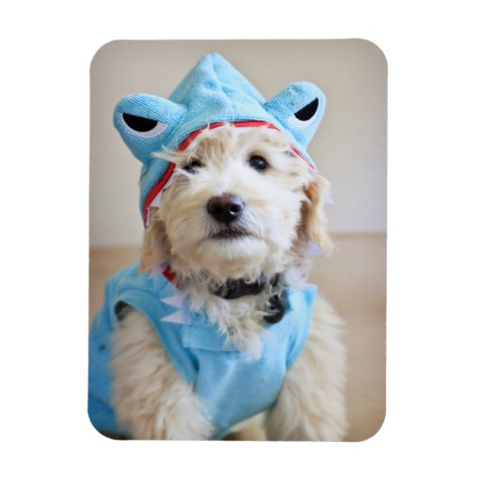 Goldendoodin Shark Costume Magneet (Verticaal)