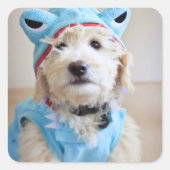Goldendoodin Shark Costume Vierkante Sticker (Voorkant)