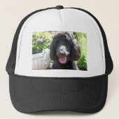 GoldenDoodle Abby 1 Trucker Pet (Voorkant)