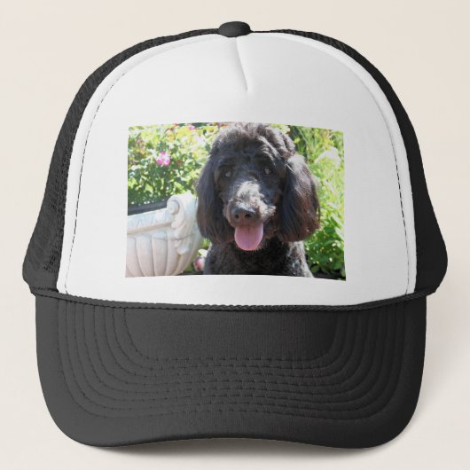 GoldenDoodle Abby 1 Trucker Pet (Voorkant)