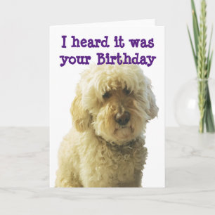 GoldenDoodle, Birthday Doodle Kaart
