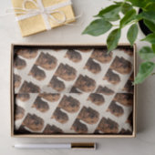 Goldendoodle Brothers Tissuepapier (Geschenk)