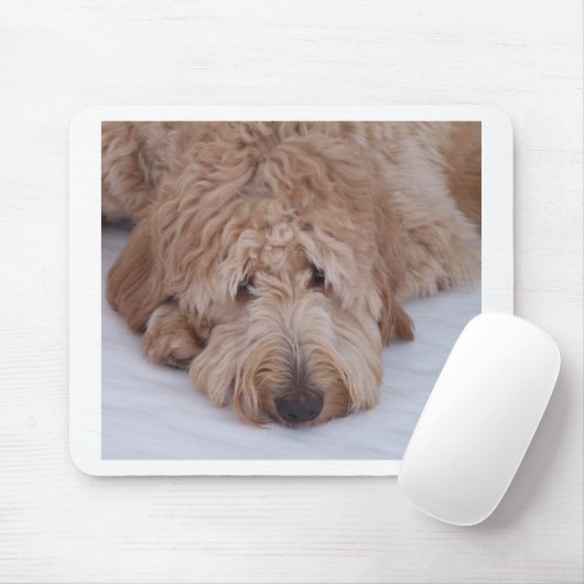 GoldenDoodle Dog Gift Muismatten/Mousemats Muismat (Met muis)
