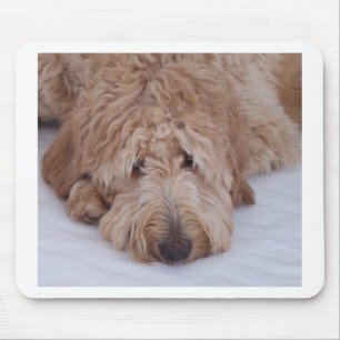 GoldenDoodle Dog Gift Muismatten/Mousemats Muismat