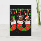 Goldendoodle Dog In Christmas Socks Funny Pet Dog  Kaart (Voorkant)