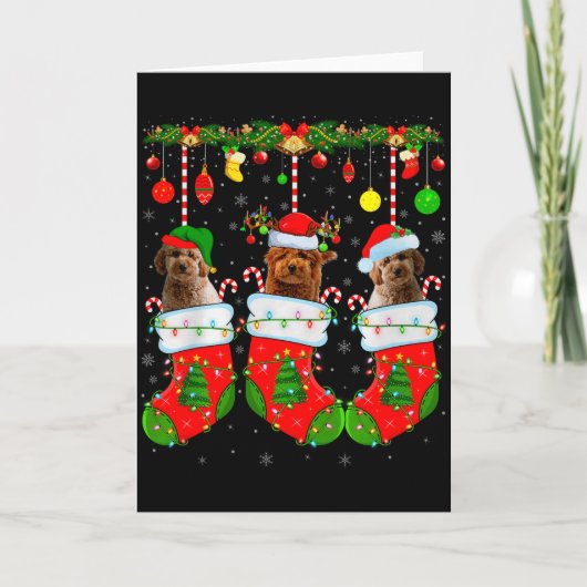 Goldendoodle Dog In Christmas Socks Funny Pet Dog  Kaart (Voorkant)