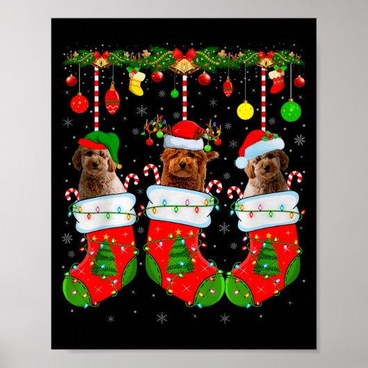 Goldendoodle Dog In Christmas Socks Funny Pet Dog Poster (Voorkant)