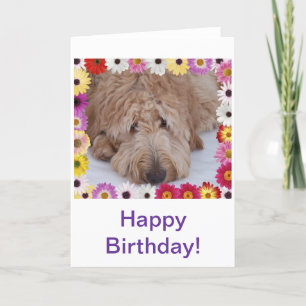 GoldenDoodle Dog in Kleurrijke Bloemen Verjaardag  Kaart