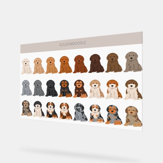 Goldendoodle dog mix acryl bord (Hoek)