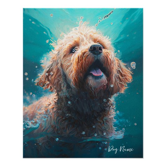 Goldendoodle dog swimming in water 008 perfect poster (Voorkant)