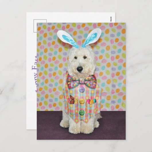 Goldendoodle Easter briefkaart (Voorkant / Achterkant)