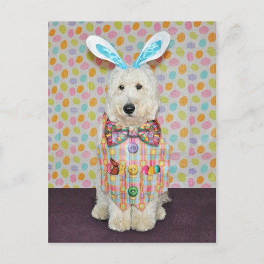 Goldendoodle Easter briefkaart (Voorkant)