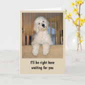 Goldendoodle elke gelegenheid kaart (Gele Bloem)