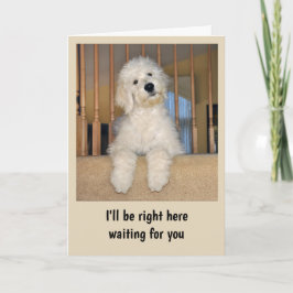 Goldendoodle elke gelegenheid kaart