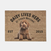 Goldendoodle Gepersonaliseerd Hondenliefhebber Deu Deurmat (Voorkant)