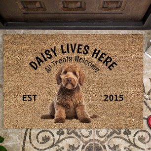 Goldendoodle Gepersonaliseerd Hondenliefhebber Deu Deurmat