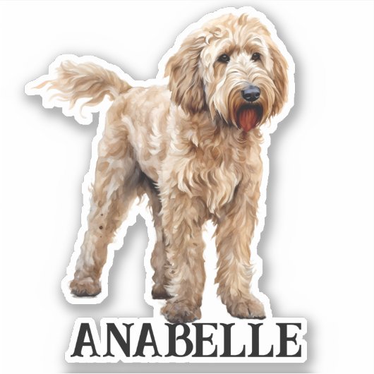 Goldendoodle gepersonaliseerde naam sticker (Voorkant)