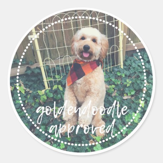 Goldendoodle goedgekeurde Sticker (Voorkant)