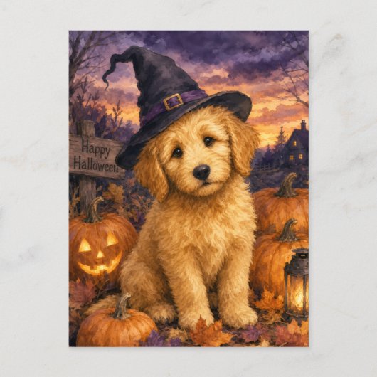 Goldendoodle Heksenhoed Pompoen Briefkaart (Voorkant)