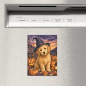 Goldendoodle Heksenhoed Pompoen Magneet (Insitu (Vaatwasser))