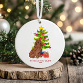 Goldendoodle Hond Gepersonaliseerde Kerstmis Keramisch Ornament