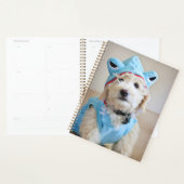Goldendoodle in haaienkostuum planner (Display)