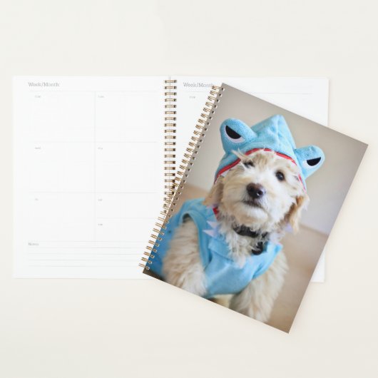 Goldendoodle in haaienkostuum planner (Display)