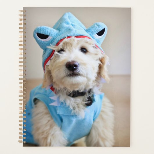 Goldendoodle in haaienkostuum planner (Voorkant)