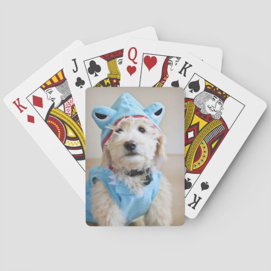Goldendoodle in haaienkostuum pokerkaarten (Achterkant)
