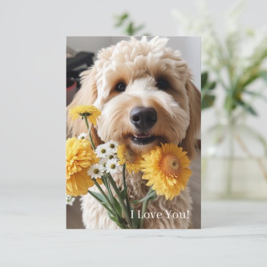 Goldendoodle Kaarten (Staand voorkant)