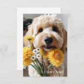 Goldendoodle Kaarten (Voorkant / Achterkant)