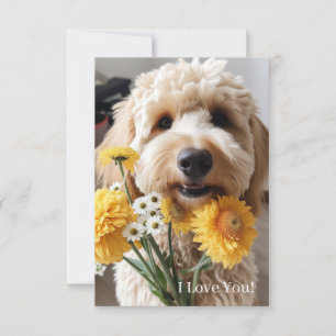 Goldendoodle Kaarten