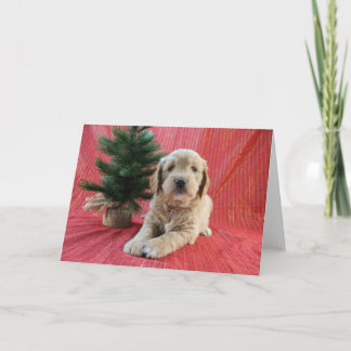 Goldendoodle Kerstkaart Feestdagen Kaart