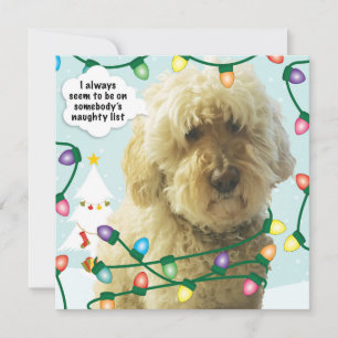 Goldendoodle Kerstmis, Doodle Pret Kaart