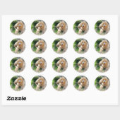 Goldendoodle Labradoodle Ronde Sticker (Vel)