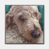 Goldendoodle Magneet (Voorkant)