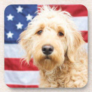 Goldendoodle met Amerikaanse vlag Bier Onderzetter