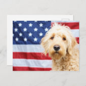 Goldendoodle met Amerikaanse vlag Briefkaart (Voorkant / Achterkant)