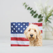 Goldendoodle met Amerikaanse vlag Briefkaart (Staand voorkant)